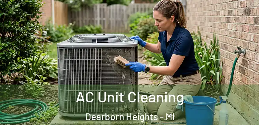  AC Unit Cleaning Dearborn Heights - MI